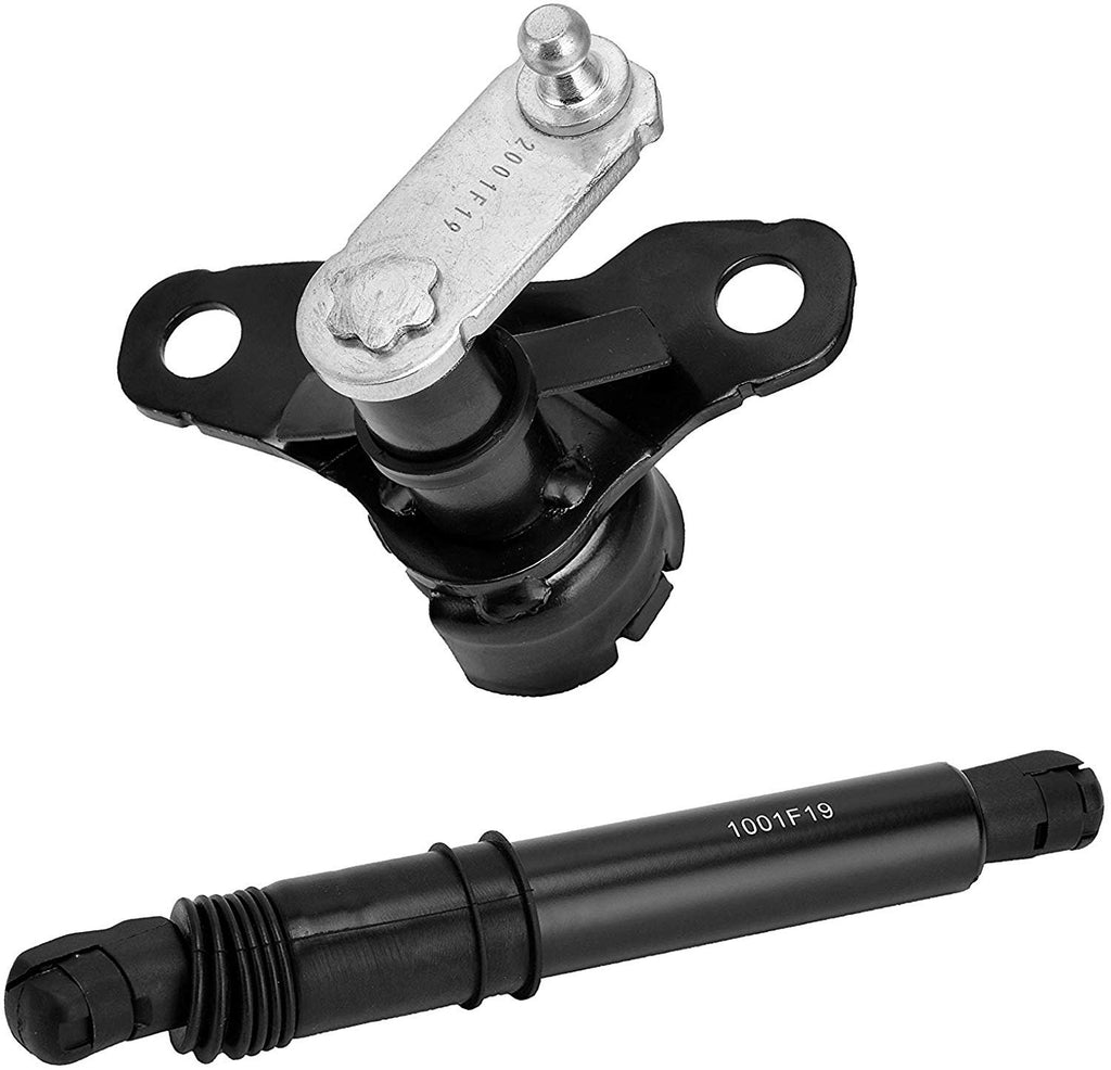 Tailgate Damper Kit - Compatible with Ford F-150 2015, 2016, 2017, 2018, 2019, F-150 Raptor 2017-2019 - Replaces FL3Z-99406A10-A, FL3Z99406A10A - Tail gate Assist Shock Strut - Lift Support Kit
