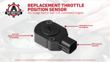 Throttle Position Sensor TPS, Replaces AP63427, 53031575, 53031575AH - Fits Dodge Ram 2500, 3500 1998-2004 - 5.9L Cummins Engine 98, 99, 01, 00, 02, 03, 04 Accelerator Pedal Position Sensor APPS